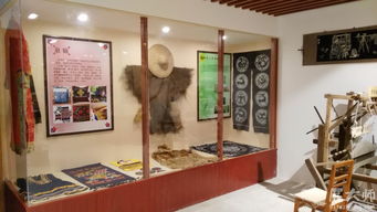 綠意與創意的交響 桂林市植物園科普展廳設計賞析